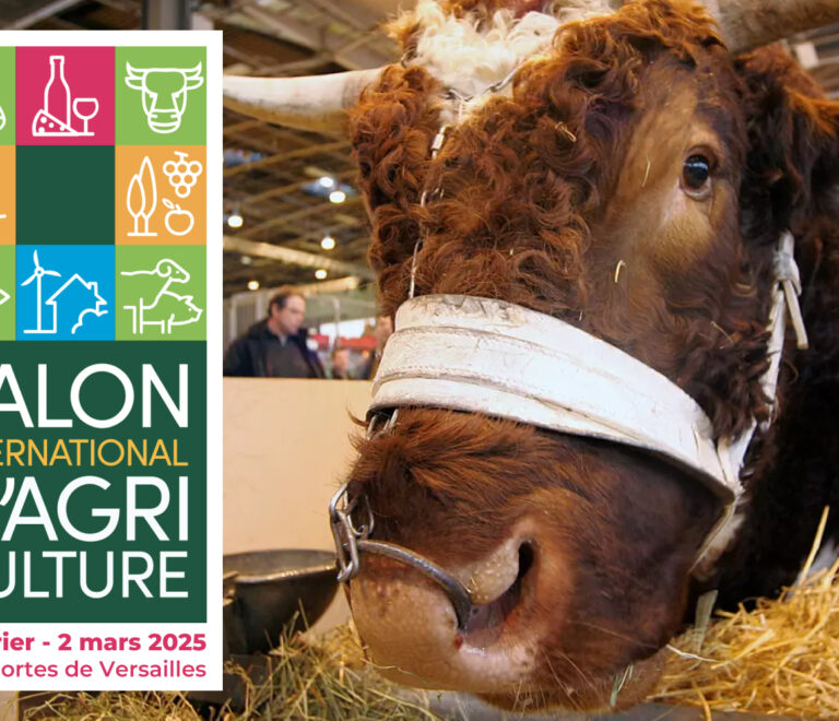 Visuel article salon de l'agriculture 2025 par Iconik Global