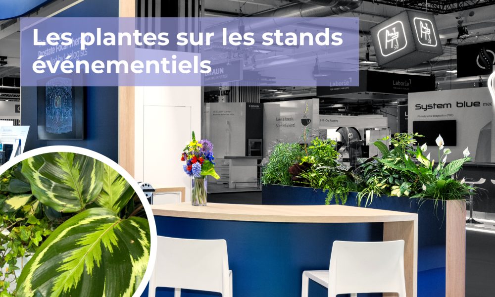 Visuel article sur les plantes sur les stands événementiels