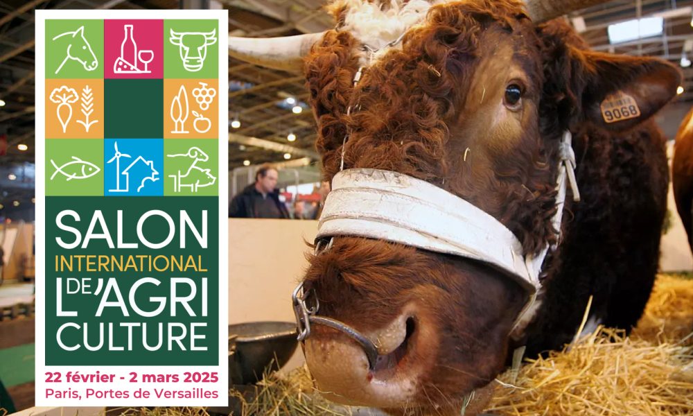 Visuel article salon de l'agriculture 2025 par Iconik Global